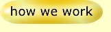 How We Work